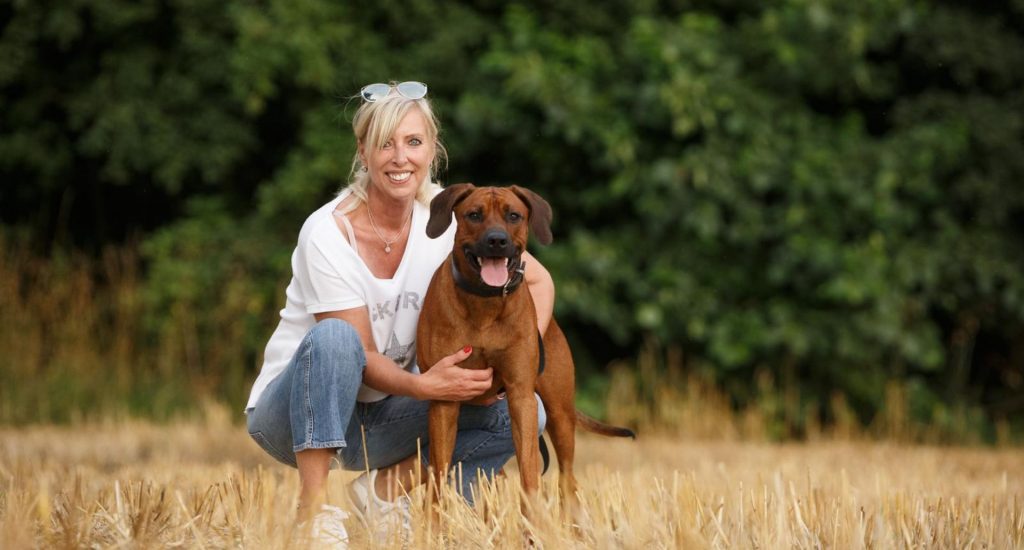 Hundetraining auf dem Feld in der Natur