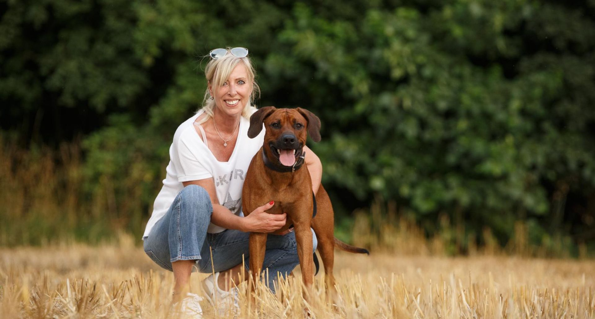 Hundetraining auf dem Feld in der Natur
