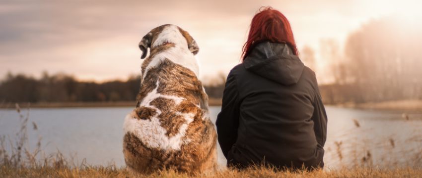 Seniorenhund mit Frauchen am See